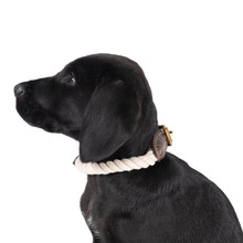 Leather & Cotton Rope Dog Collar